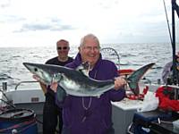 Jim Porbeagle Shark